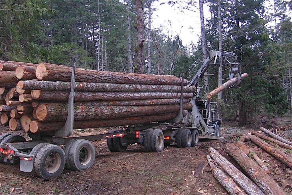 B.C. ministry clears up confusion on private land logging regulations
