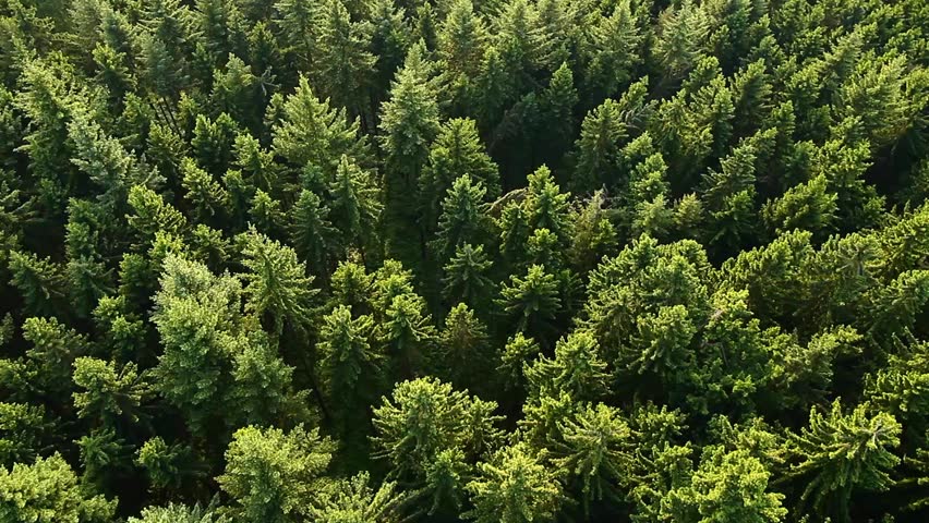 Letter to Cowichan Valley Regional District Official Community Plan